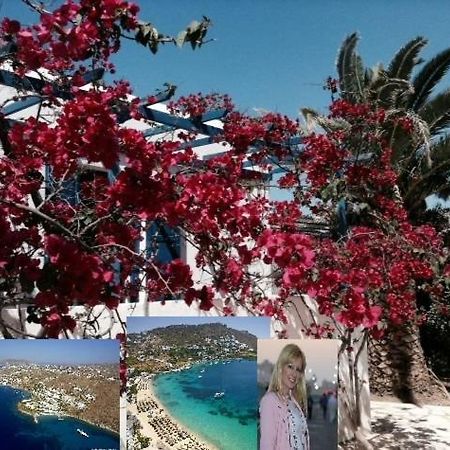 Magical Ornos! Beach House!Beach 1' Walk-Mykonos Town 2Km Luaran gambar
